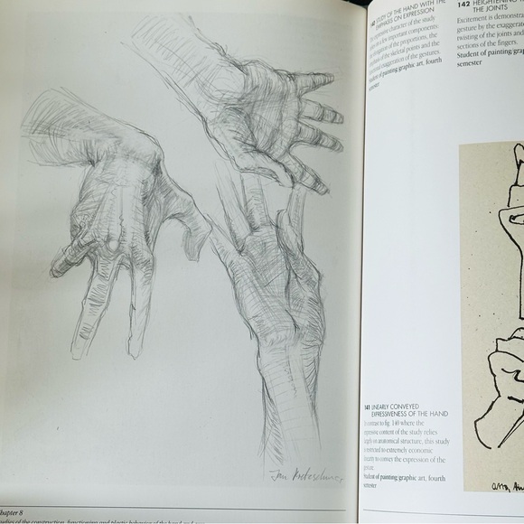 The Artists’ Guide to Human Anatomy An Illustrated Reference Hardcover Book - Picture 7 of 16